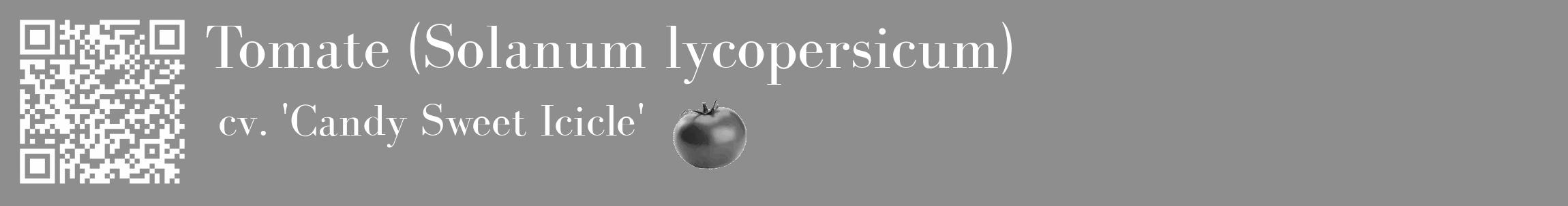 Étiquette de : Solanum lycopersicum cv. 'Candy Sweet Icicle' - format c - style blanche25_basique_basiquebod avec qrcode et comestibilité simplifiée