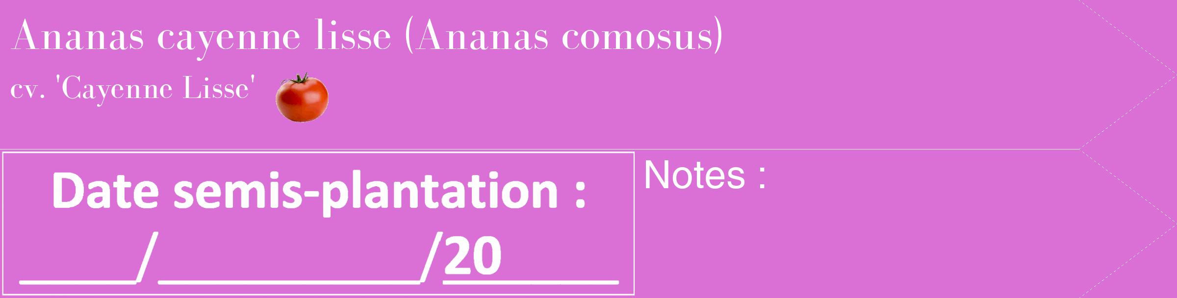 Étiquette de : Ananas comosus cv. 'Cayenne Lisse' - format c - style blanche52_simple_simplebod avec comestibilité simplifiée