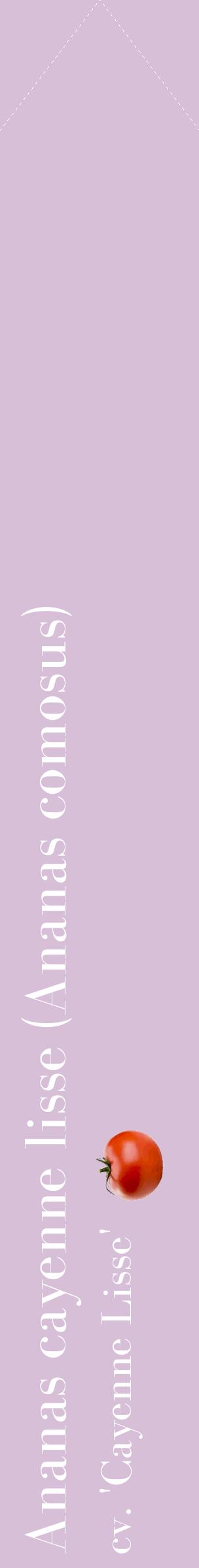 Étiquette de : Ananas comosus cv. 'Cayenne Lisse' - format c - style blanche54_simplebod avec comestibilité simplifiée