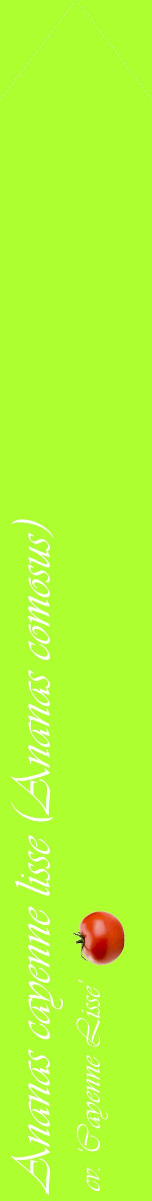 Étiquette de : Ananas comosus cv. 'Cayenne Lisse' - format c - style blanche17_simpleviv avec comestibilité simplifiée