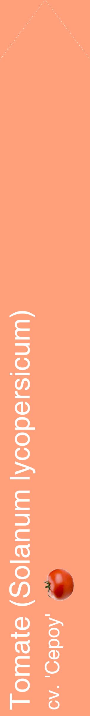 Étiquette de : Solanum lycopersicum cv. 'Cepoy' - format c - style blanche39_simplehel avec comestibilité simplifiée