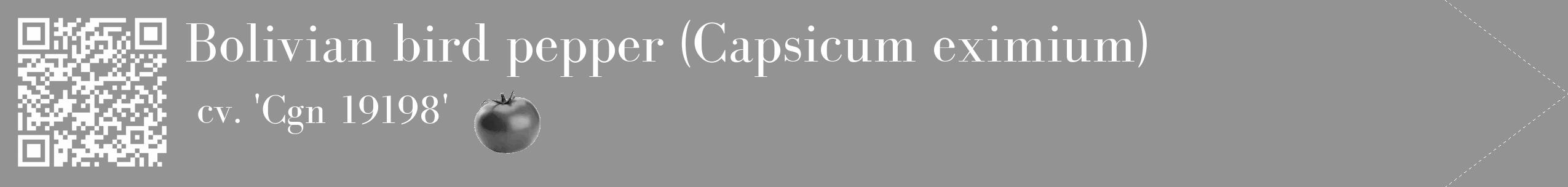 Étiquette de : Capsicum eximium cv. 'Cgn 19198' - format c - style blanche44simple_simple_simplebod avec qrcode et comestibilité simplifiée