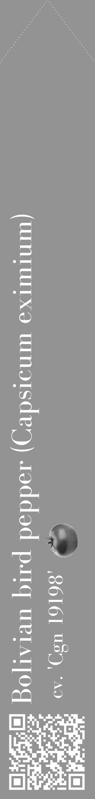 Étiquette de : Capsicum eximium cv. 'Cgn 19198' - format c - style blanche44simple_simple_simplebod avec qrcode et comestibilité simplifiée - position verticale