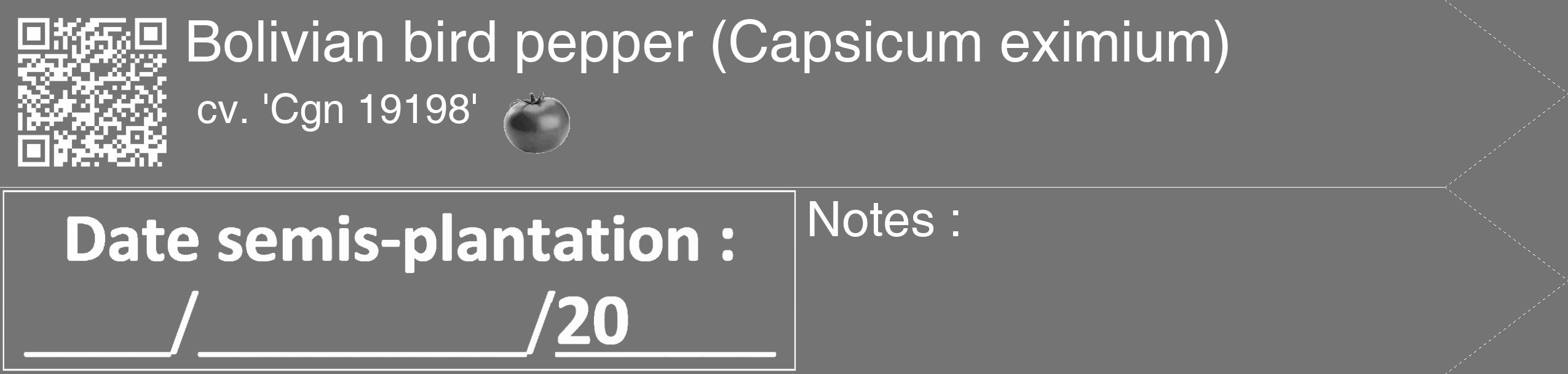 Étiquette de : Capsicum eximium cv. 'Cgn 19198' - format c - style blanche26_simple_simplehel avec qrcode et comestibilité simplifiée