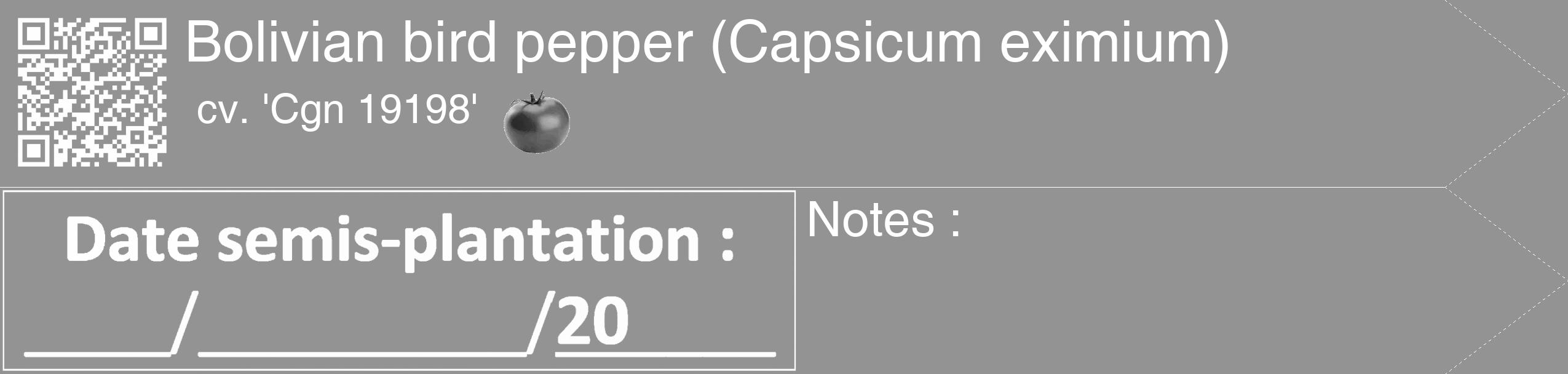 Étiquette de : Capsicum eximium cv. 'Cgn 19198' - format c - style blanche44simple_simple_simplehel avec qrcode et comestibilité simplifiée