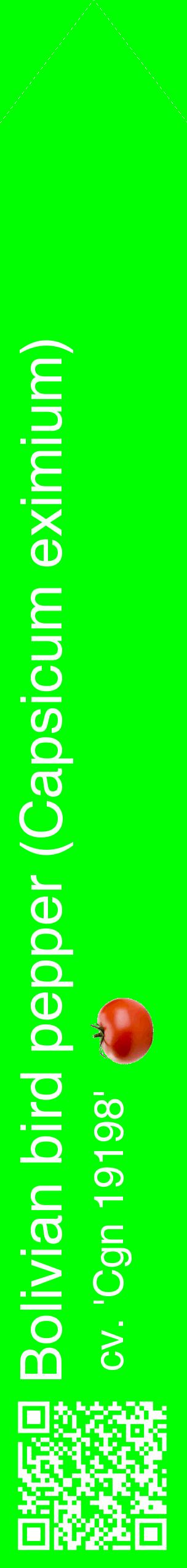 Étiquette de : Capsicum eximium cv. 'Cgn 19198' - format c - style blanche16_simplehel avec qrcode et comestibilité simplifiée