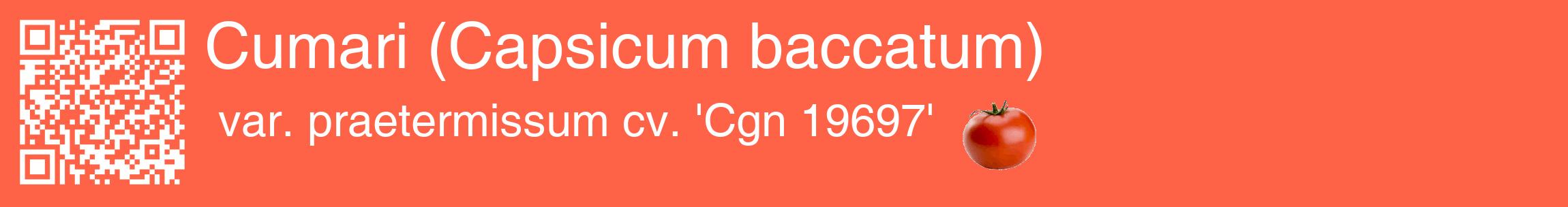 Étiquette de : Capsicum baccatum var. praetermissum cv. 'Cgn 19697' - format c - style blanche25basique_basique_basiquehel avec qrcode et comestibilité simplifiée