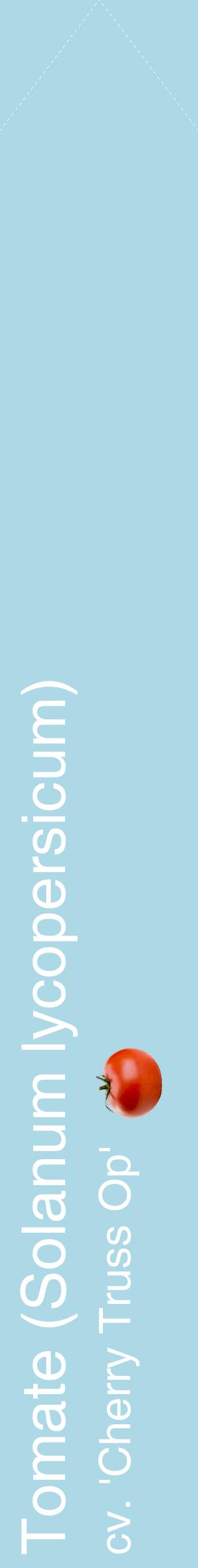 Étiquette de : Solanum lycopersicum cv. 'Cherry Truss Op' - format c - style blanche0_simplehel avec comestibilité simplifiée