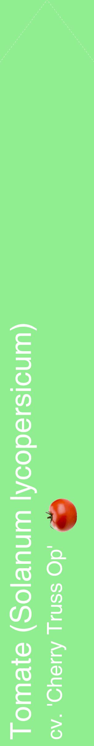 Étiquette de : Solanum lycopersicum cv. 'Cherry Truss Op' - format c - style blanche15_simplehel avec comestibilité simplifiée