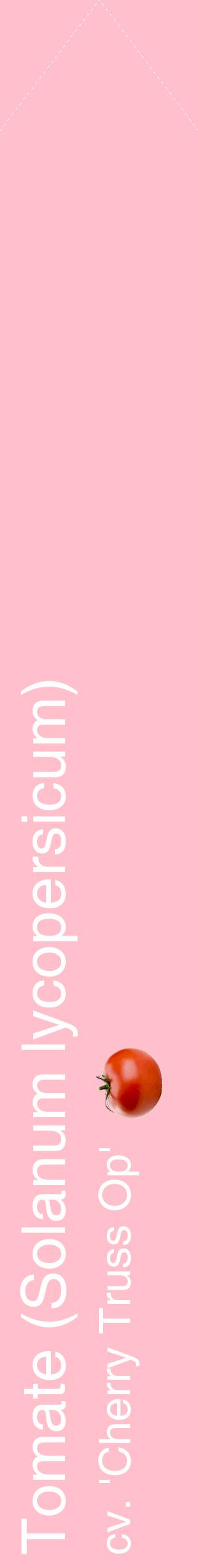 Étiquette de : Solanum lycopersicum cv. 'Cherry Truss Op' - format c - style blanche40_simplehel avec comestibilité simplifiée