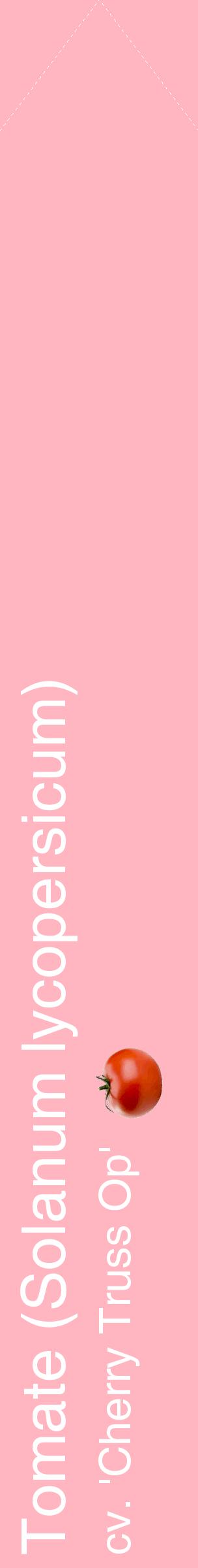 Étiquette de : Solanum lycopersicum cv. 'Cherry Truss Op' - format c - style blanche41_simplehel avec comestibilité simplifiée