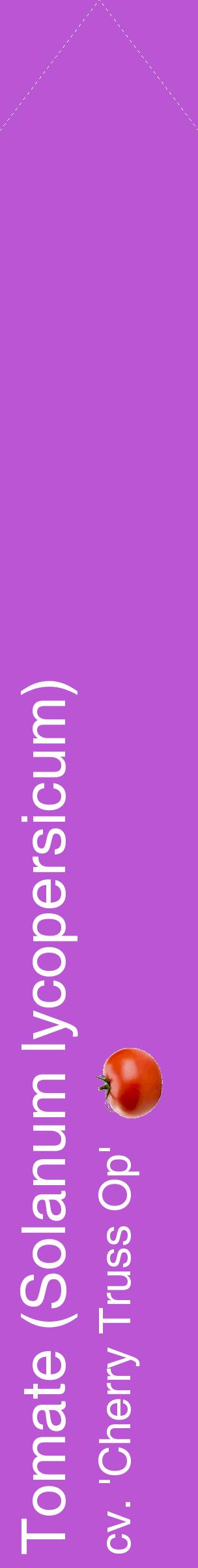 Étiquette de : Solanum lycopersicum cv. 'Cherry Truss Op' - format c - style blanche50_simplehel avec comestibilité simplifiée
