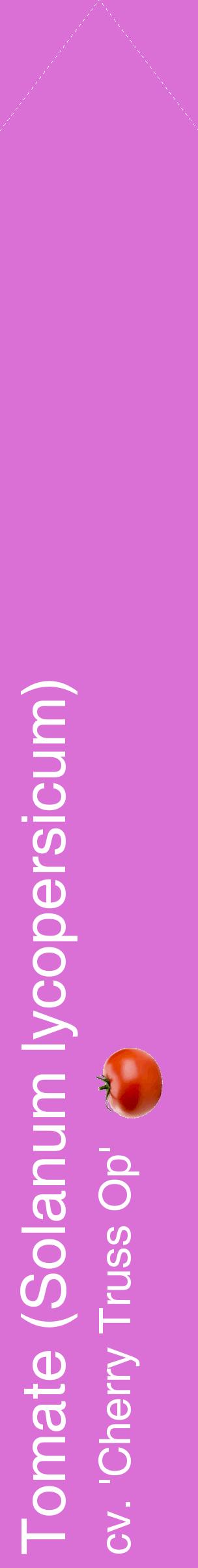 Étiquette de : Solanum lycopersicum cv. 'Cherry Truss Op' - format c - style blanche52_simplehel avec comestibilité simplifiée