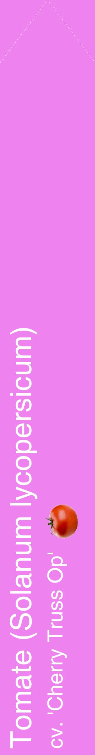 Étiquette de : Solanum lycopersicum cv. 'Cherry Truss Op' - format c - style blanche53_simplehel avec comestibilité simplifiée