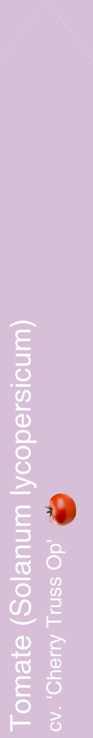 Étiquette de : Solanum lycopersicum cv. 'Cherry Truss Op' - format c - style blanche54_simplehel avec comestibilité simplifiée