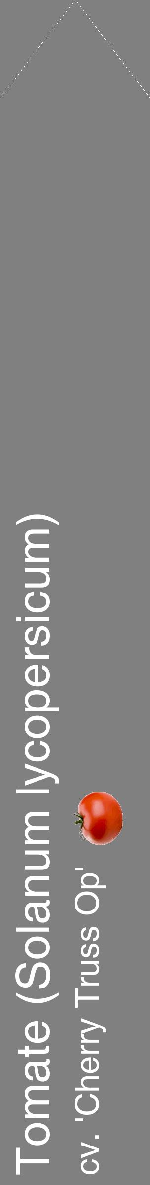 Étiquette de : Solanum lycopersicum cv. 'Cherry Truss Op' - format c - style blanche57_simplehel avec comestibilité simplifiée