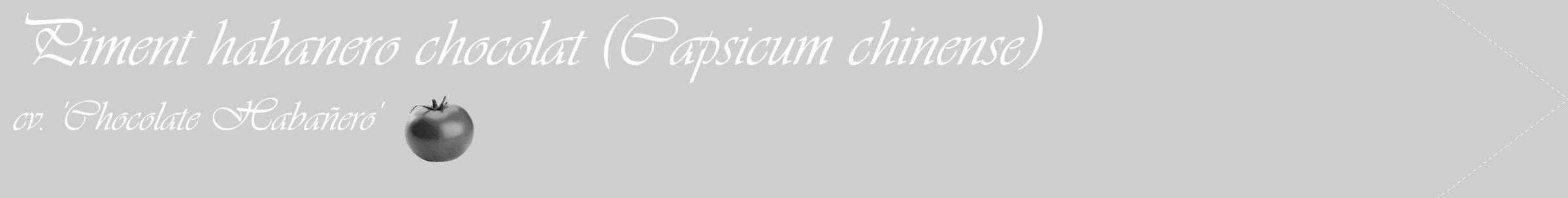 Étiquette de : Capsicum chinense cv. 'Chocolate Habañero' - format c - style blanche17simple_simple_simpleviv avec comestibilité simplifiée