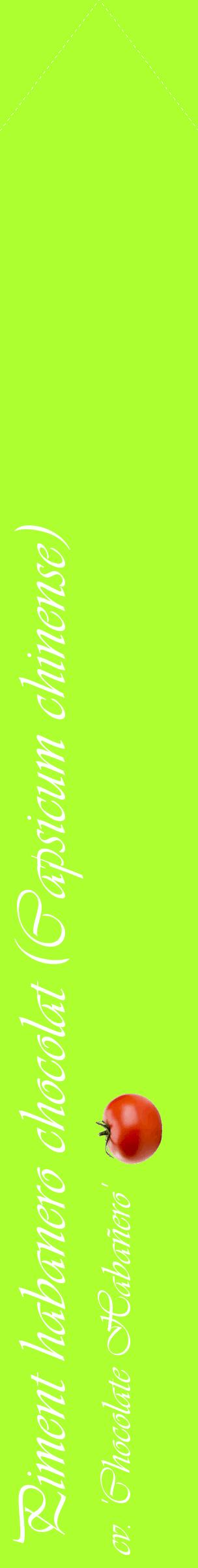 Étiquette de : Capsicum chinense cv. 'Chocolate Habañero' - format c - style blanche17simple_simple_simpleviv avec comestibilité simplifiée - position verticale