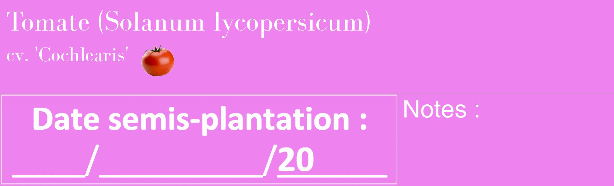 Étiquette de : Solanum lycopersicum cv. 'Cochlearis' - format c - style blanche53_basique_basiquebod avec comestibilité simplifiée