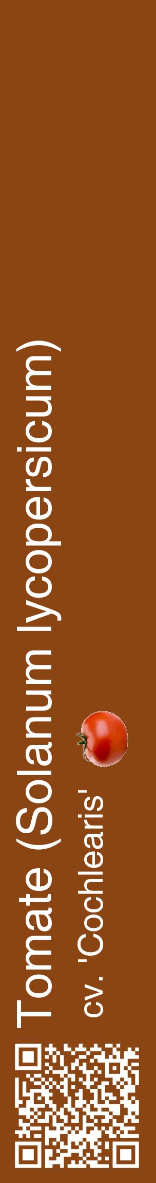 Étiquette de : Solanum lycopersicum cv. 'Cochlearis' - format c - style blanche30_basiquehel avec qrcode et comestibilité simplifiée
