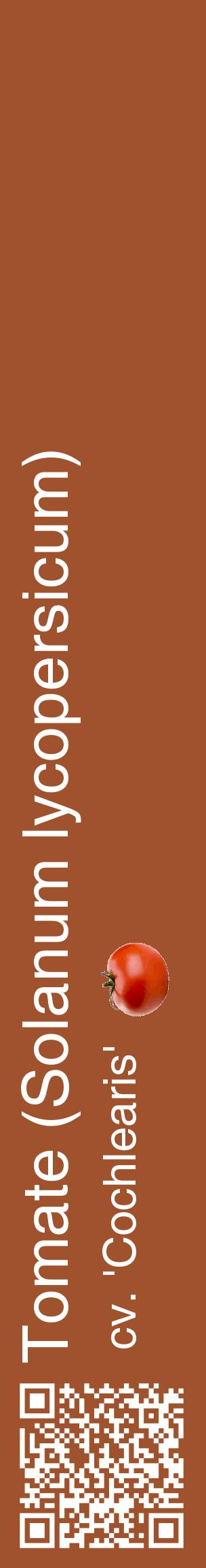 Étiquette de : Solanum lycopersicum cv. 'Cochlearis' - format c - style blanche32_basiquehel avec qrcode et comestibilité simplifiée