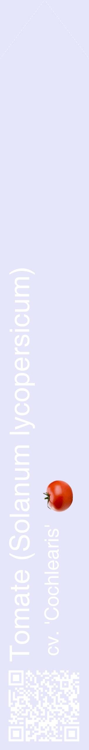 Étiquette de : Solanum lycopersicum cv. 'Cochlearis' - format c - style blanche55_simplehel avec qrcode et comestibilité simplifiée