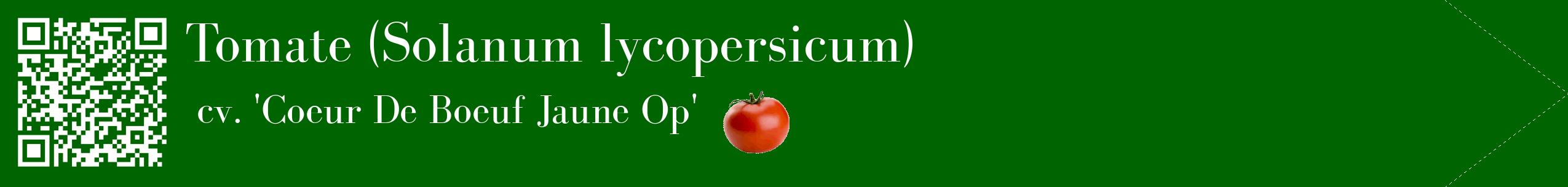 Étiquette de : Solanum lycopersicum cv. 'Coeur De Boeuf Jaune Op' - format c - style blanche8simple_simple_simplebod avec qrcode et comestibilité simplifiée