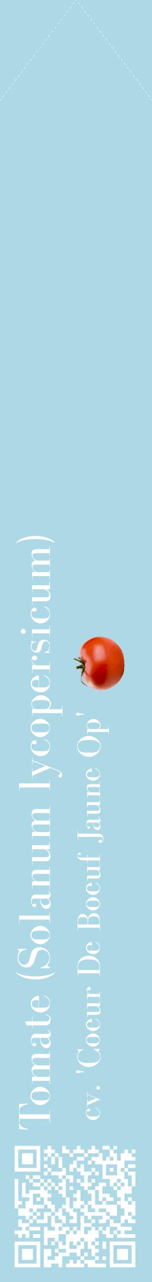 Étiquette de : Solanum lycopersicum cv. 'Coeur De Boeuf Jaune Op' - format c - style blanche0_simplebod avec qrcode et comestibilité simplifiée
