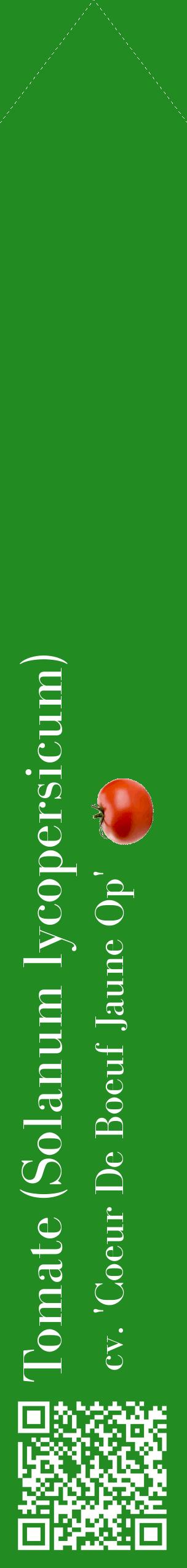 Étiquette de : Solanum lycopersicum cv. 'Coeur De Boeuf Jaune Op' - format c - style blanche10_simplebod avec qrcode et comestibilité simplifiée