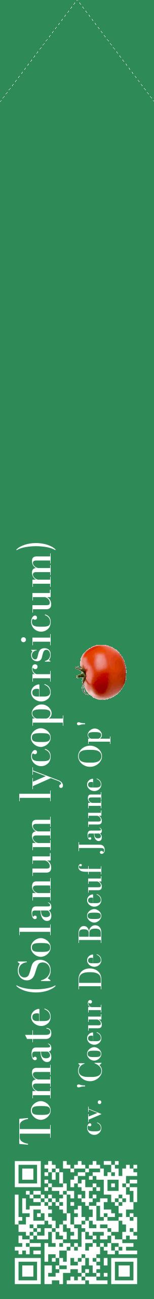 Étiquette de : Solanum lycopersicum cv. 'Coeur De Boeuf Jaune Op' - format c - style blanche11_simplebod avec qrcode et comestibilité simplifiée