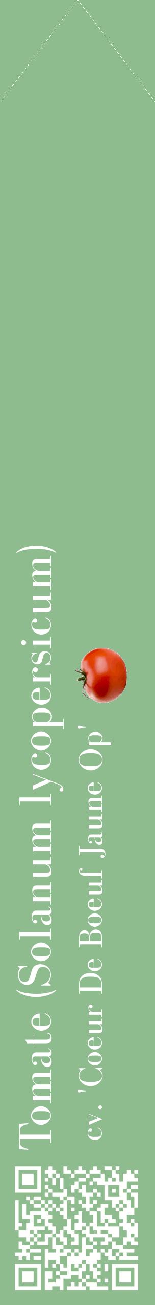 Étiquette de : Solanum lycopersicum cv. 'Coeur De Boeuf Jaune Op' - format c - style blanche13_simplebod avec qrcode et comestibilité simplifiée