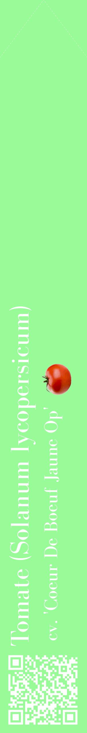 Étiquette de : Solanum lycopersicum cv. 'Coeur De Boeuf Jaune Op' - format c - style blanche14_simplebod avec qrcode et comestibilité simplifiée