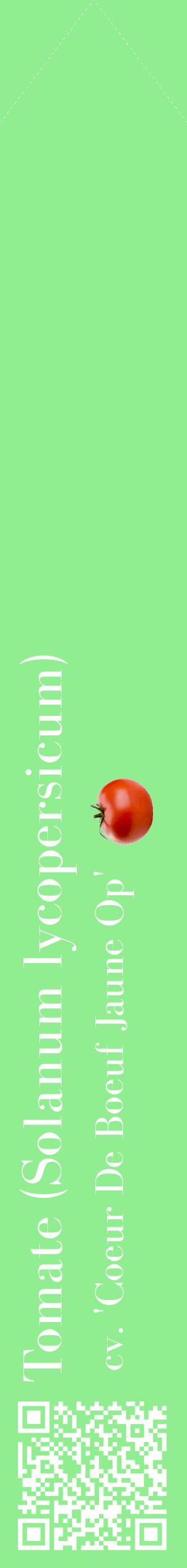 Étiquette de : Solanum lycopersicum cv. 'Coeur De Boeuf Jaune Op' - format c - style blanche15_simplebod avec qrcode et comestibilité simplifiée