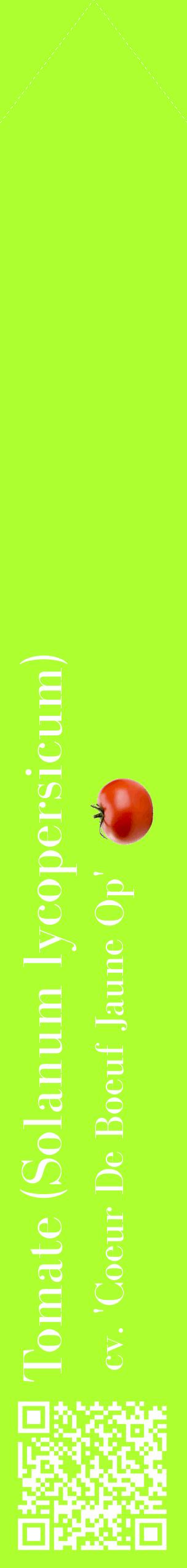 Étiquette de : Solanum lycopersicum cv. 'Coeur De Boeuf Jaune Op' - format c - style blanche17_simplebod avec qrcode et comestibilité simplifiée