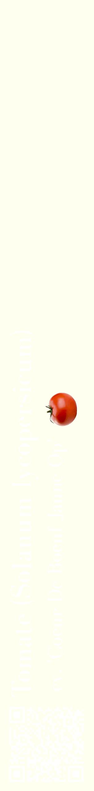 Étiquette de : Solanum lycopersicum cv. 'Coeur De Boeuf Jaune Op' - format c - style blanche19_simplebod avec qrcode et comestibilité simplifiée