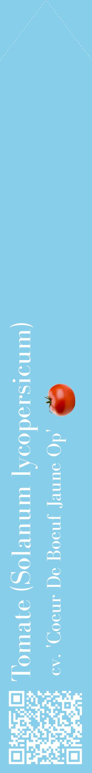 Étiquette de : Solanum lycopersicum cv. 'Coeur De Boeuf Jaune Op' - format c - style blanche1_simplebod avec qrcode et comestibilité simplifiée