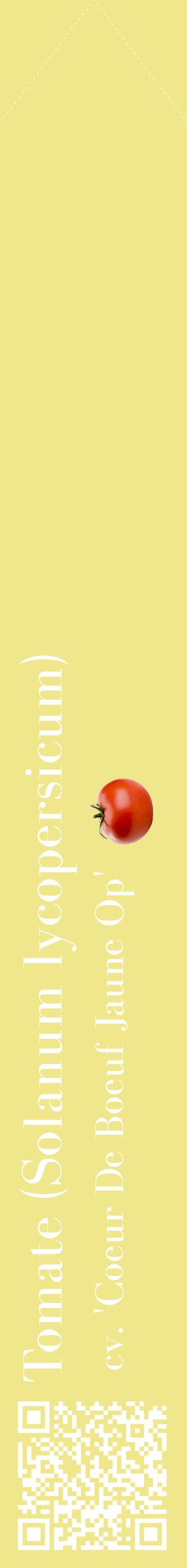 Étiquette de : Solanum lycopersicum cv. 'Coeur De Boeuf Jaune Op' - format c - style blanche20_simplebod avec qrcode et comestibilité simplifiée
