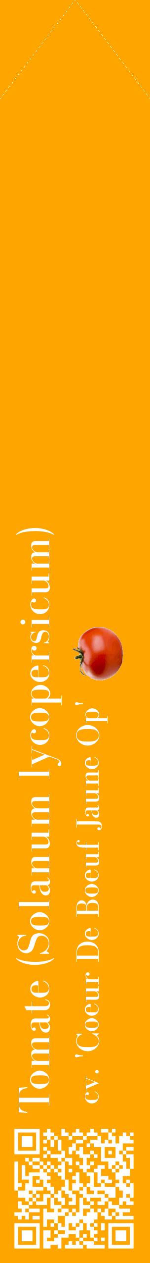 Étiquette de : Solanum lycopersicum cv. 'Coeur De Boeuf Jaune Op' - format c - style blanche22_simplebod avec qrcode et comestibilité simplifiée