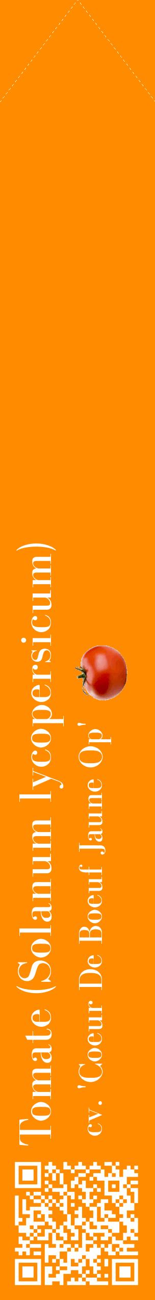 Étiquette de : Solanum lycopersicum cv. 'Coeur De Boeuf Jaune Op' - format c - style blanche23_simplebod avec qrcode et comestibilité simplifiée