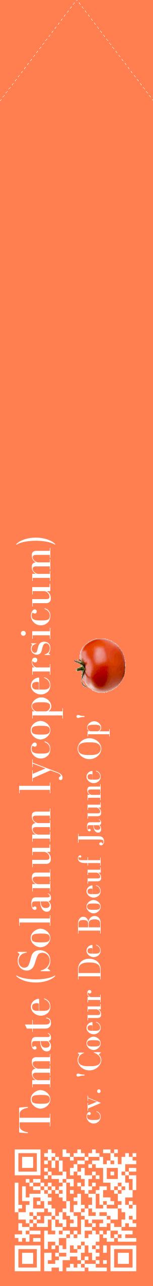 Étiquette de : Solanum lycopersicum cv. 'Coeur De Boeuf Jaune Op' - format c - style blanche24_simplebod avec qrcode et comestibilité simplifiée
