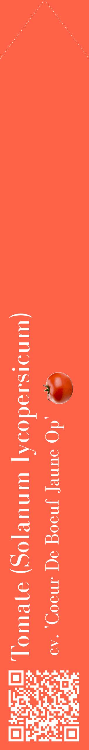 Étiquette de : Solanum lycopersicum cv. 'Coeur De Boeuf Jaune Op' - format c - style blanche25_simplebod avec qrcode et comestibilité simplifiée