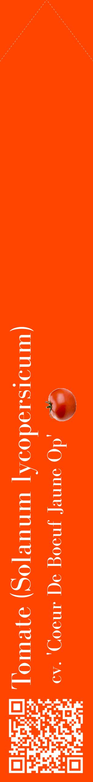 Étiquette de : Solanum lycopersicum cv. 'Coeur De Boeuf Jaune Op' - format c - style blanche26_simplebod avec qrcode et comestibilité simplifiée