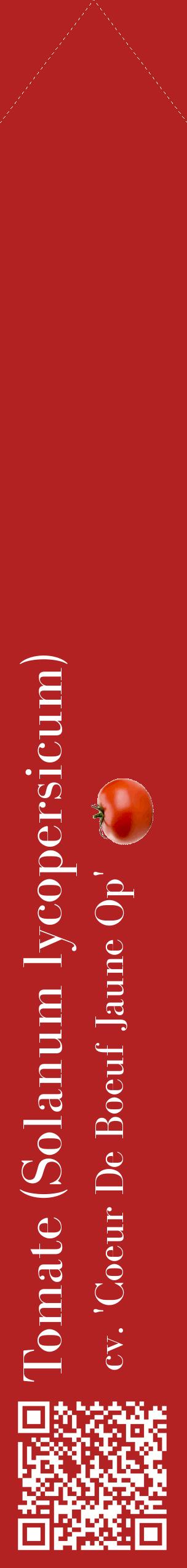 Étiquette de : Solanum lycopersicum cv. 'Coeur De Boeuf Jaune Op' - format c - style blanche28_simplebod avec qrcode et comestibilité simplifiée