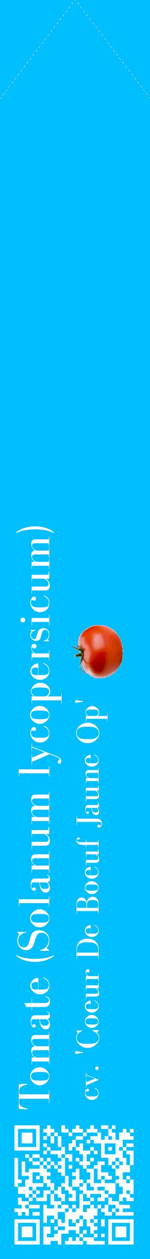 Étiquette de : Solanum lycopersicum cv. 'Coeur De Boeuf Jaune Op' - format c - style blanche2_simplebod avec qrcode et comestibilité simplifiée