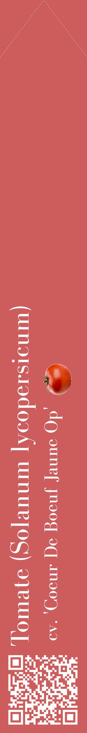 Étiquette de : Solanum lycopersicum cv. 'Coeur De Boeuf Jaune Op' - format c - style blanche35_simplebod avec qrcode et comestibilité simplifiée