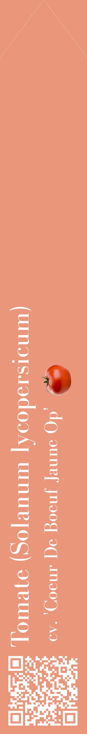 Étiquette de : Solanum lycopersicum cv. 'Coeur De Boeuf Jaune Op' - format c - style blanche37_simplebod avec qrcode et comestibilité simplifiée