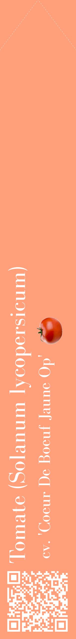 Étiquette de : Solanum lycopersicum cv. 'Coeur De Boeuf Jaune Op' - format c - style blanche39_simplebod avec qrcode et comestibilité simplifiée