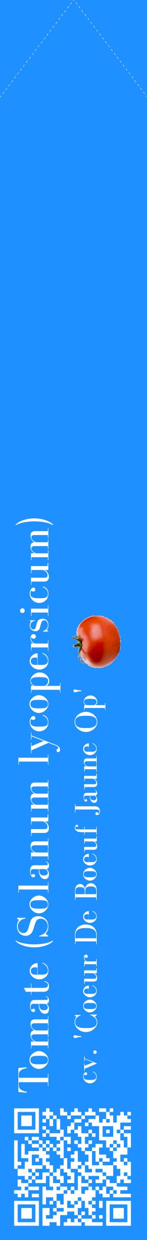 Étiquette de : Solanum lycopersicum cv. 'Coeur De Boeuf Jaune Op' - format c - style blanche3_simplebod avec qrcode et comestibilité simplifiée