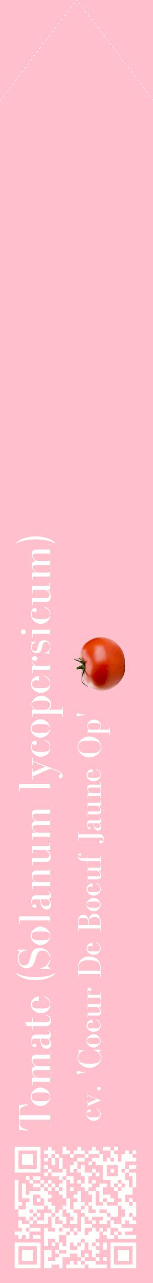 Étiquette de : Solanum lycopersicum cv. 'Coeur De Boeuf Jaune Op' - format c - style blanche40_simplebod avec qrcode et comestibilité simplifiée