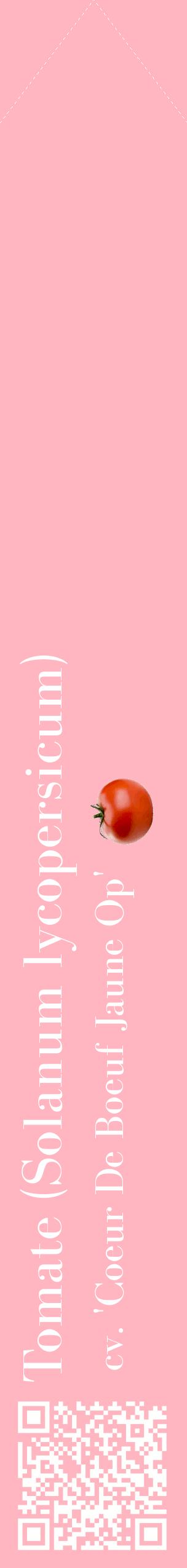 Étiquette de : Solanum lycopersicum cv. 'Coeur De Boeuf Jaune Op' - format c - style blanche41_simplebod avec qrcode et comestibilité simplifiée